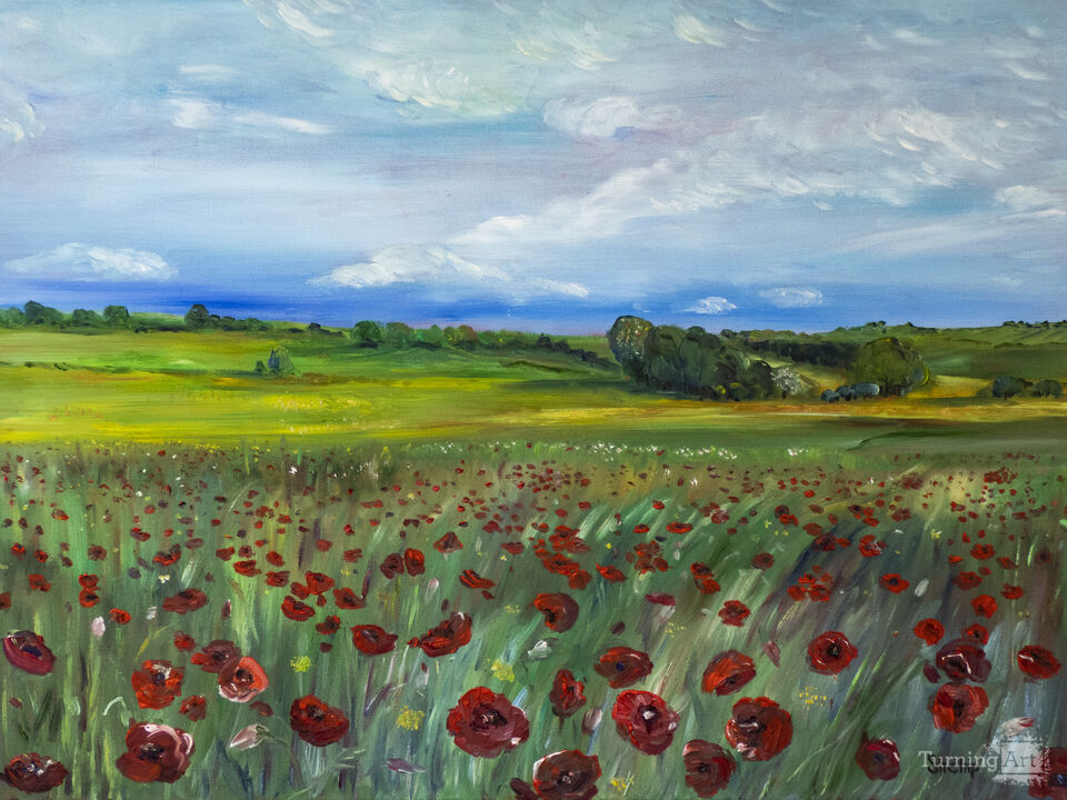 Poppy field in Catalonia.