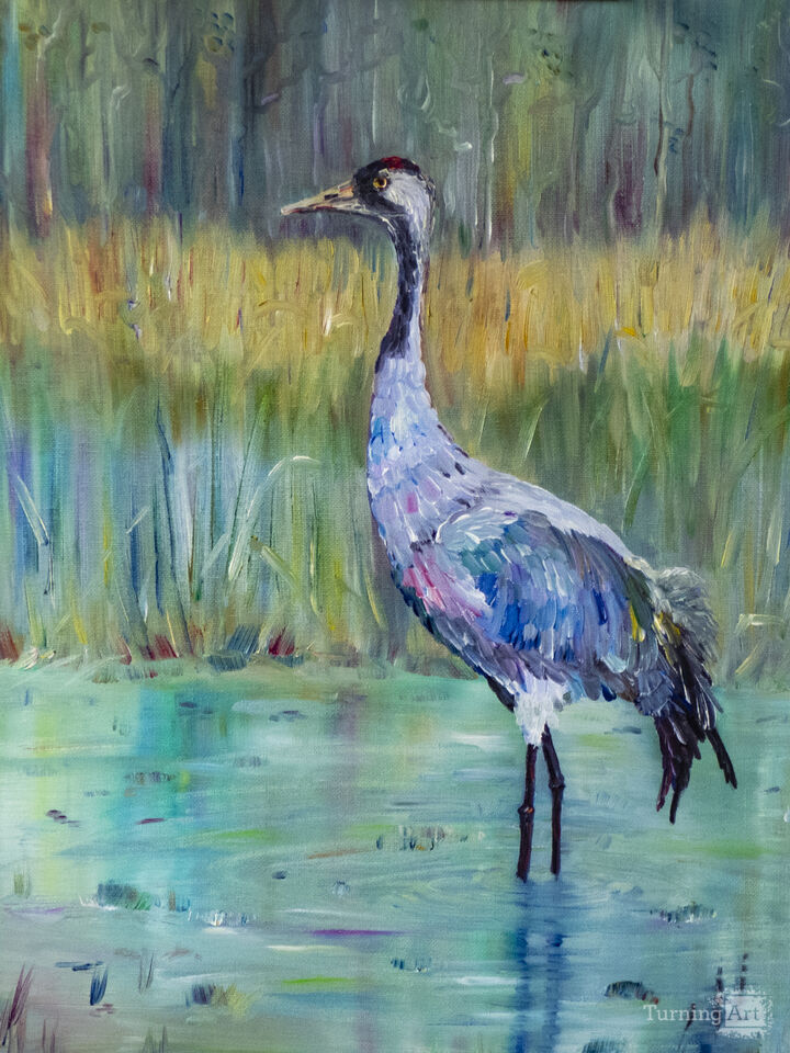 Crane in the forest.