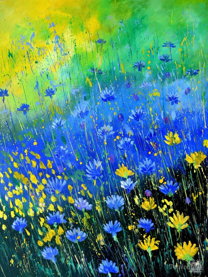 Blue and yellow wild flowers