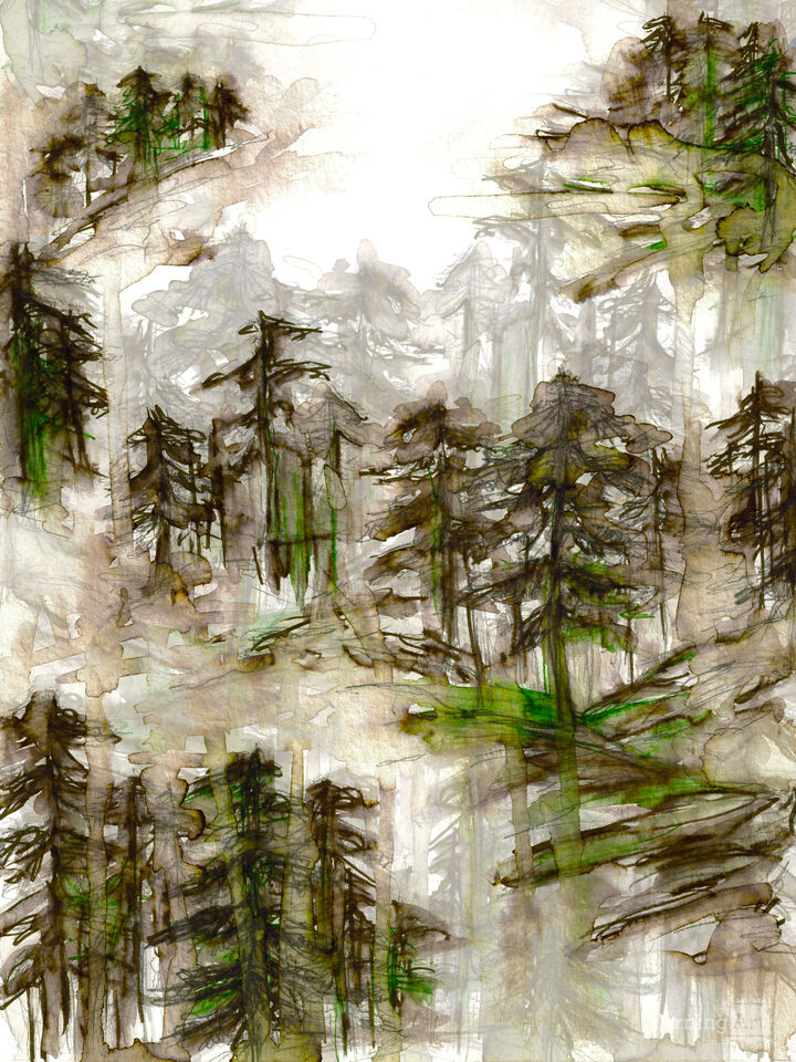 SOLITUDE 2 WATERCOLOR FOREST TREES PAINTING