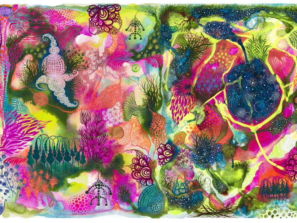 Under the Wide Sky We Gather