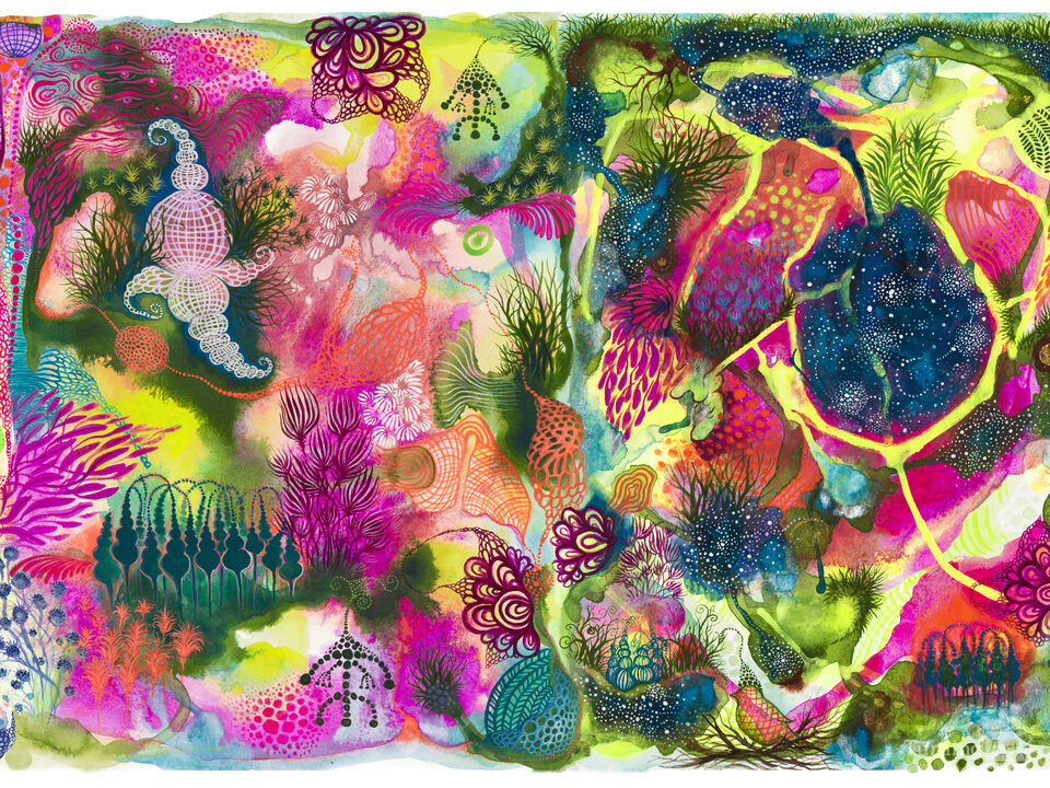 Under the Wide Sky We Gather