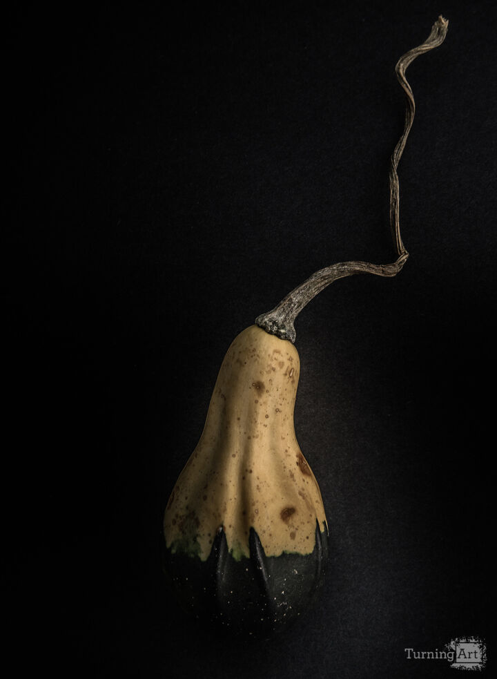 Gourds No 12 Color Version