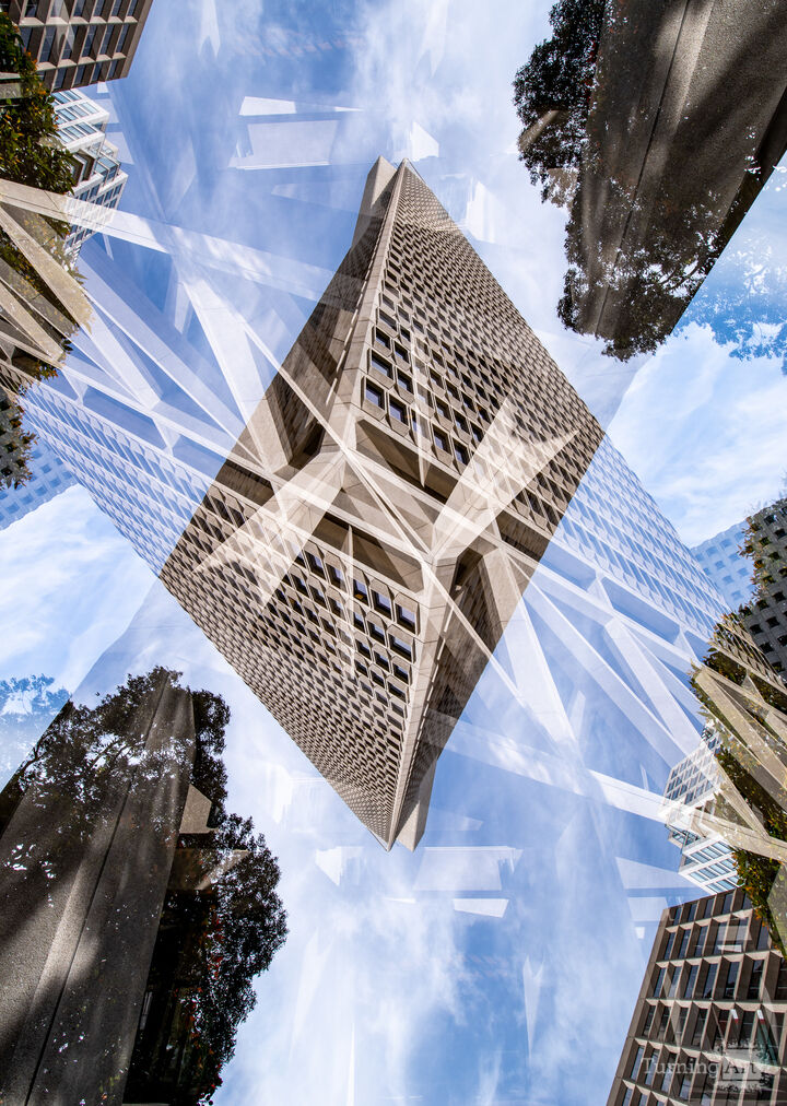 San Francisco financial district #22