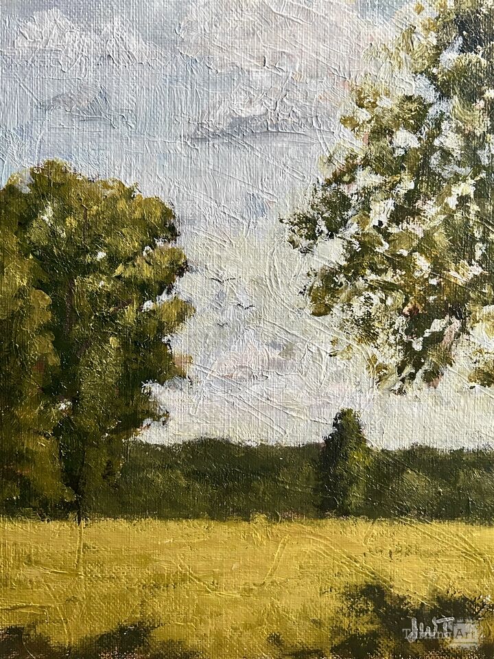 Cottonwood Neighbors