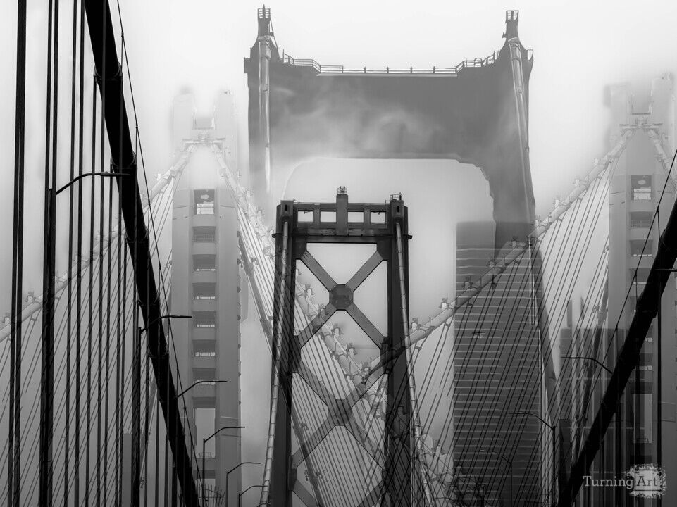 Bridges of San Francisco