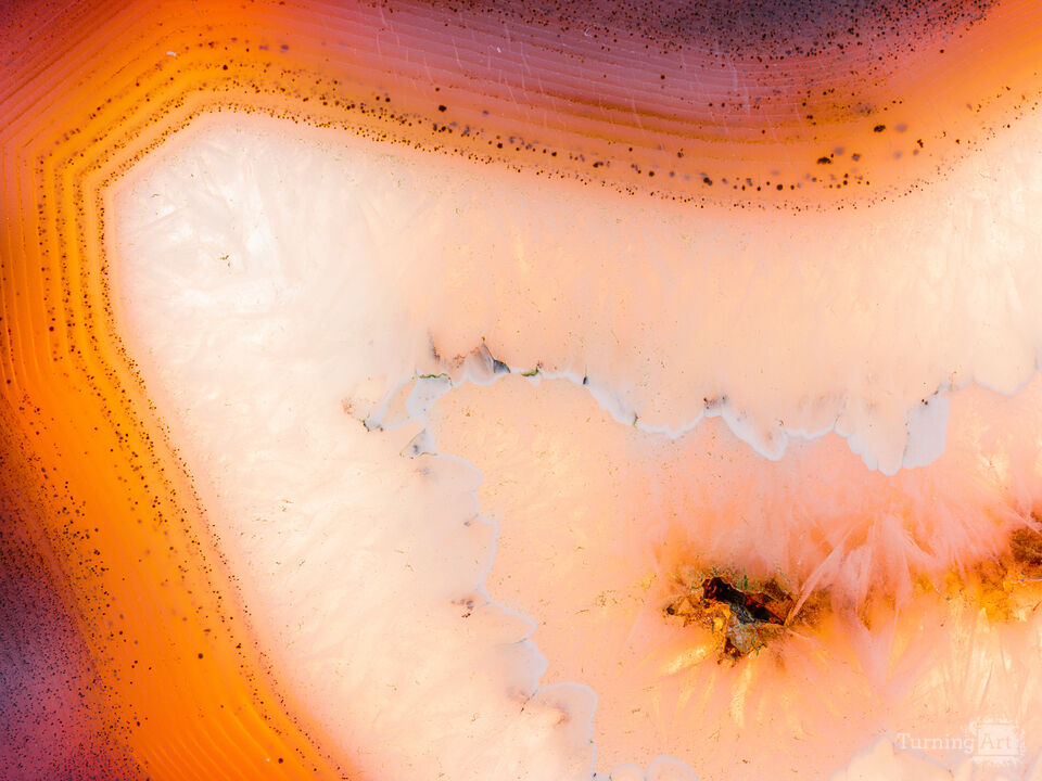 Orange and Yellow Burst