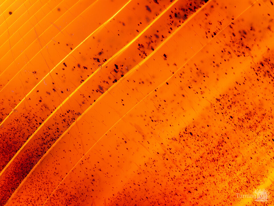 Agate Study: Rays of Light 1