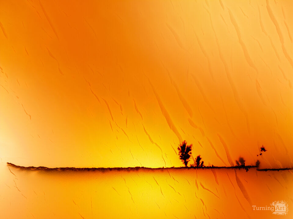 Agate Study: A Tree in the Morning