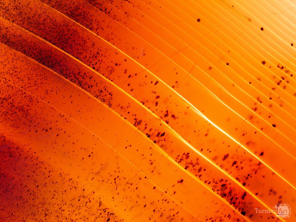 Shards of Dust and Glass: Agate Study