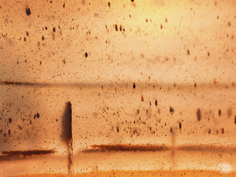 Figures Rising in Dreamland: Agate Study