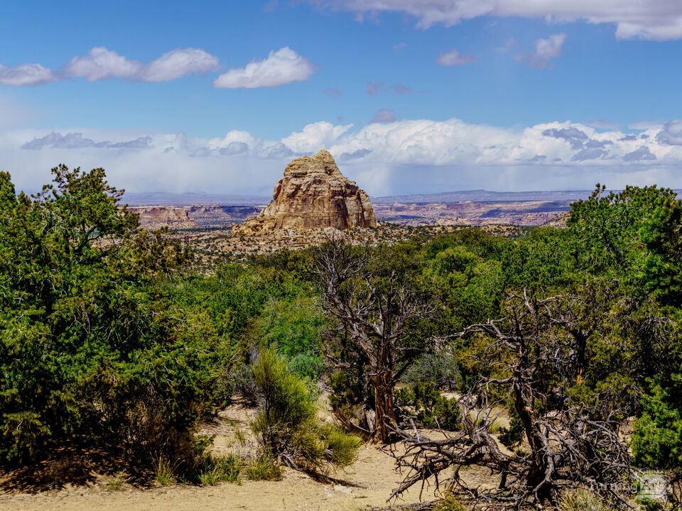 Utah Ghost Rock Over Junipers