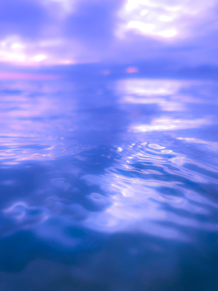Ocean Study in Lavender