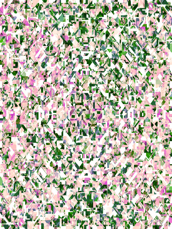 FRAGMENTED GARDEN 1 WHIMSICAL GEOMETRIC ABSTRACT