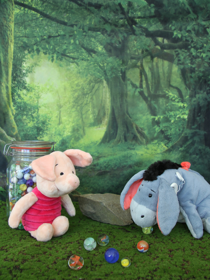 Piglet & Eeyore with Cochlear Implant