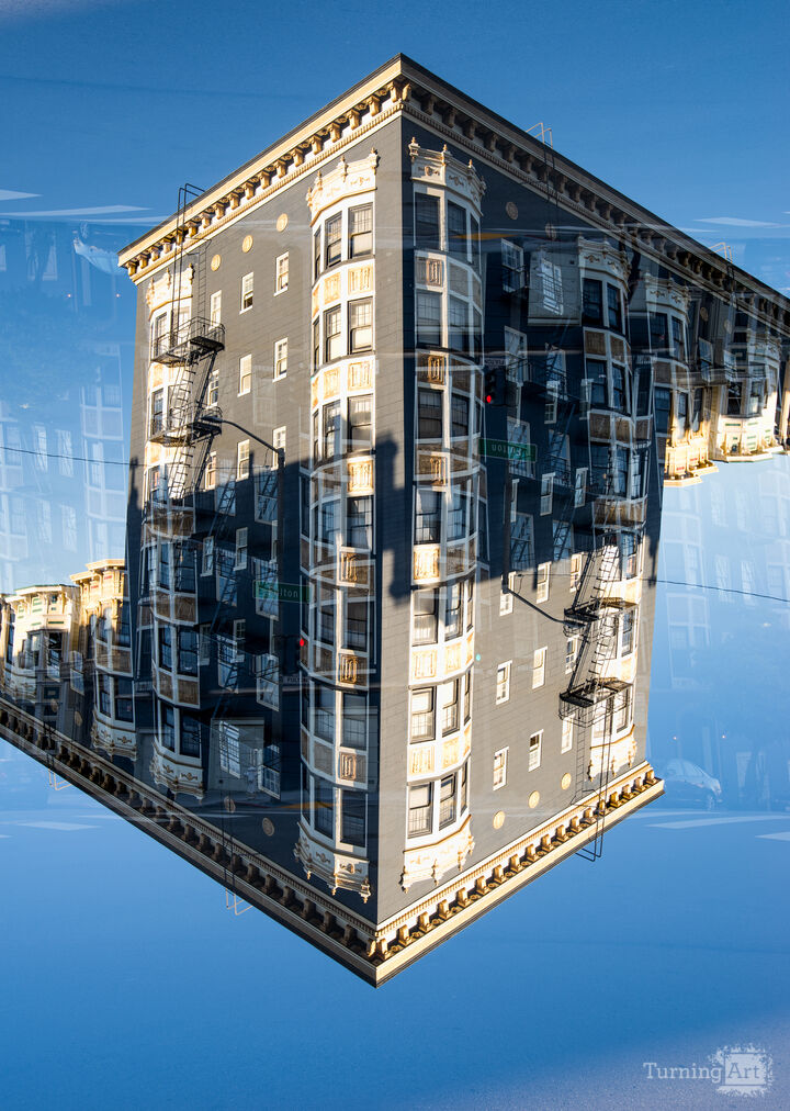 Painted Ladies, San Francisco #29