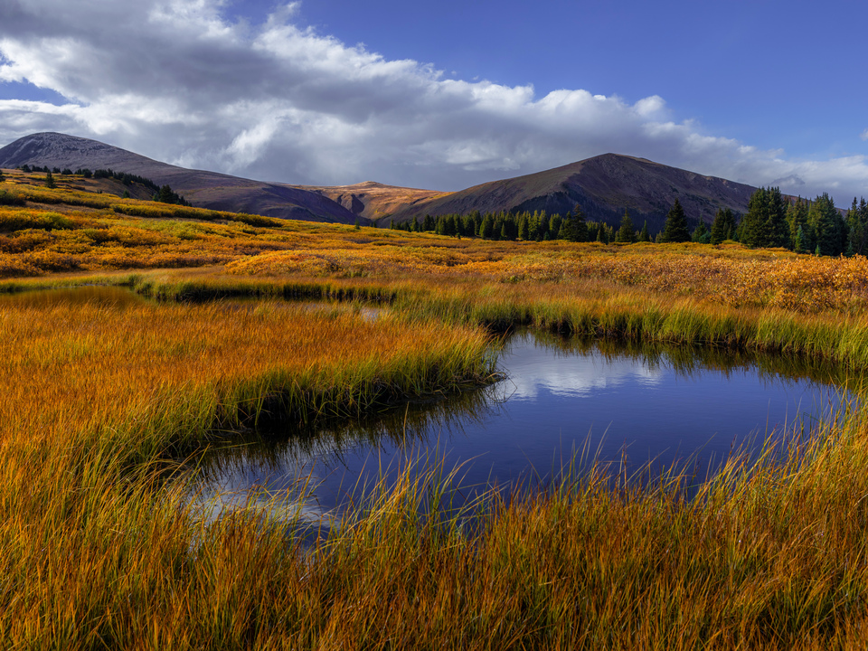 My Favorite Little Tarn