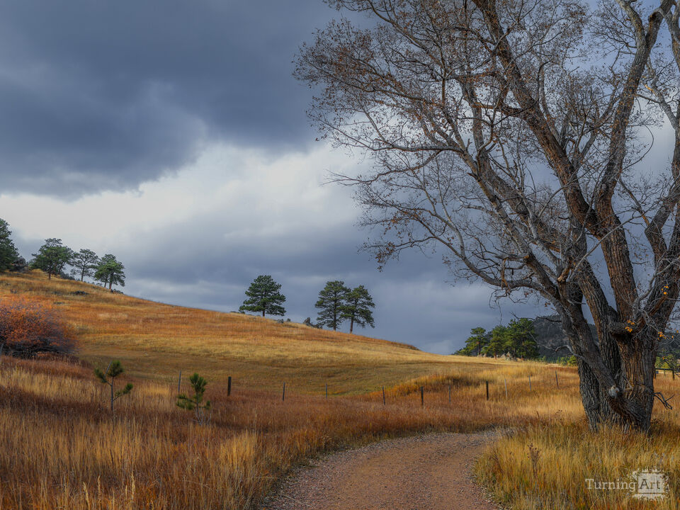 A Walk Down A Country Road