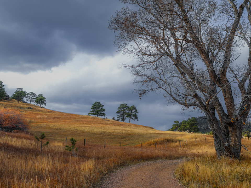 A Walk Down A Country Road