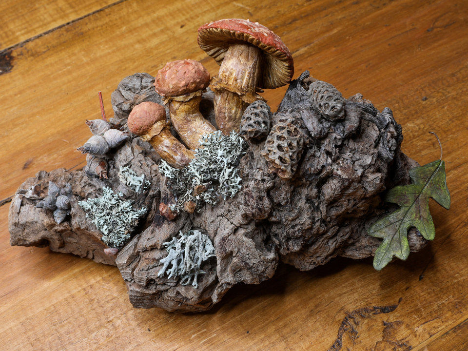 Big Laughing Jim Mushroom