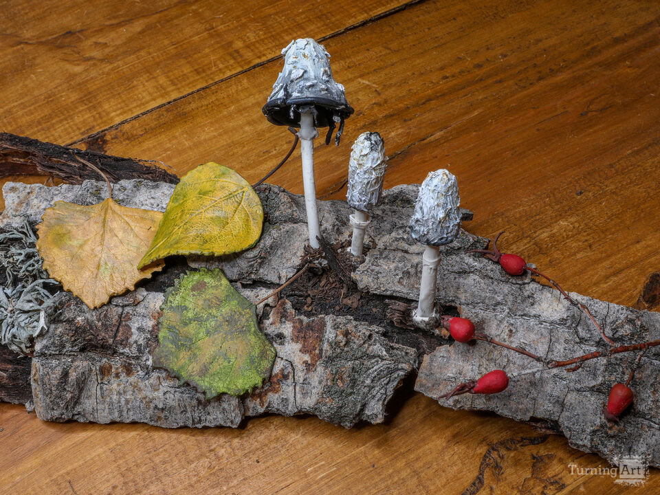 Shaggy Mane Mushrooms with Cottonwood Leaves