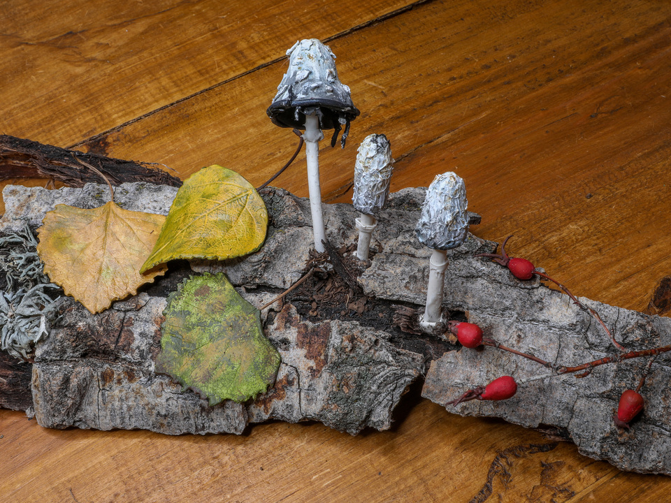Shaggy Mane Mushrooms with Cottonwood Leaves