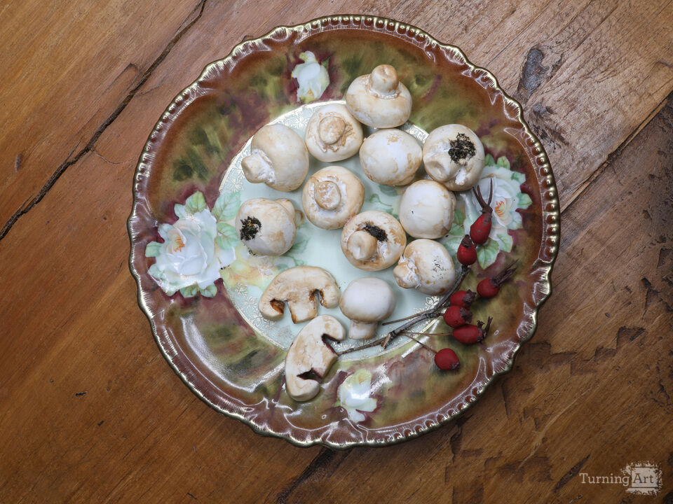 Champignons and Wild Rose-hips