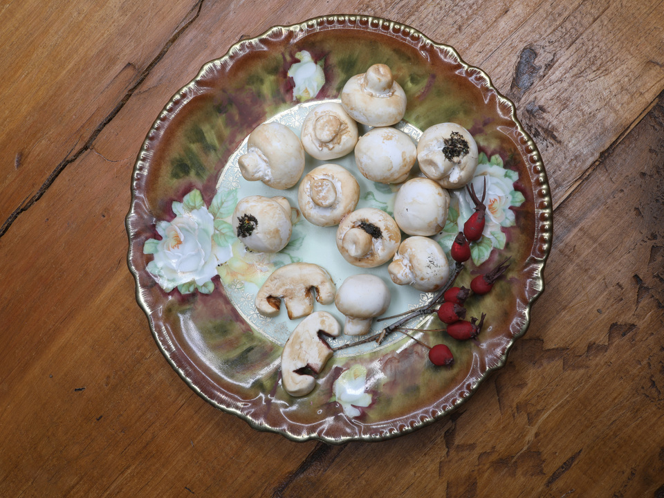 Champignons and Wild Rose-hips