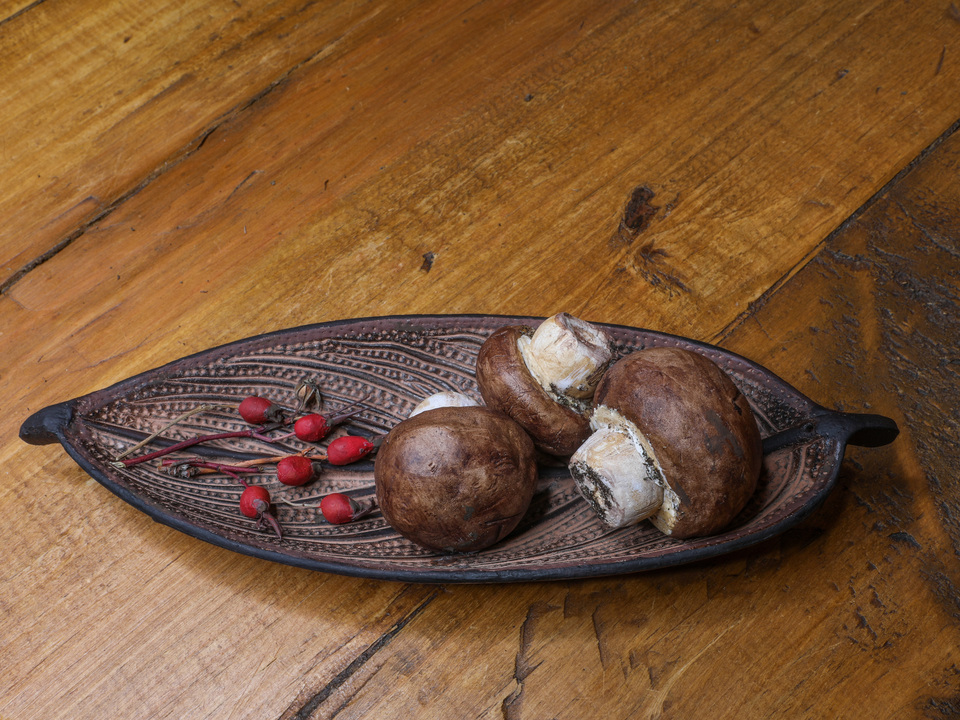 Bella Mushrooms and Wild Rose-hips