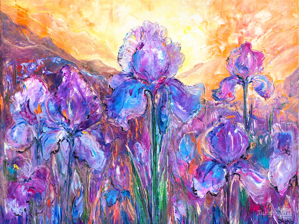 Irises at Pyrenean Sunset