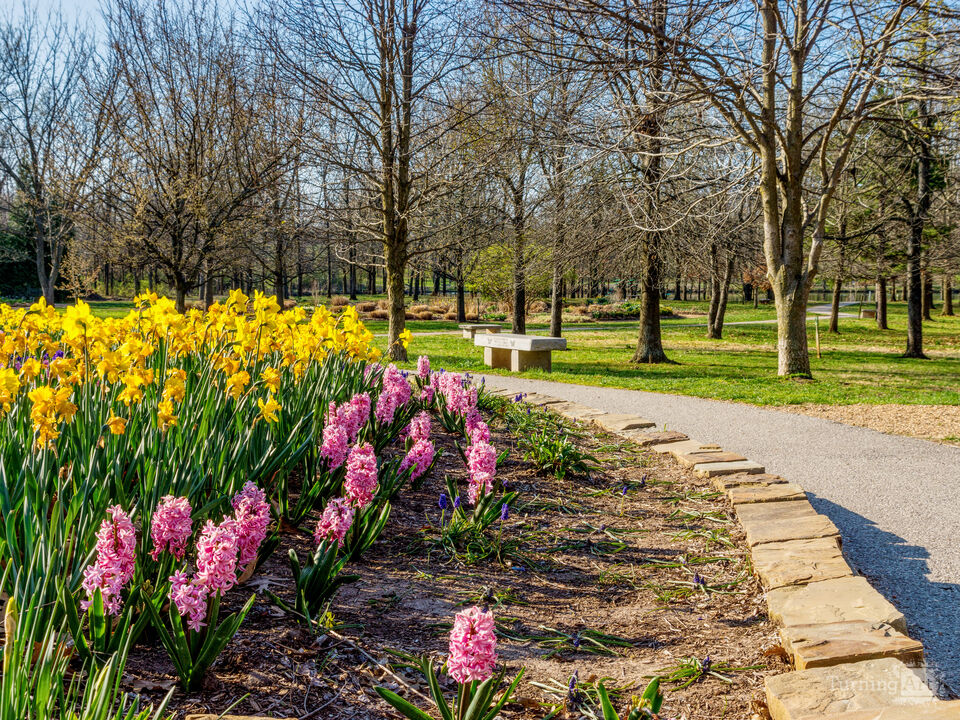 Spring Season Flower Garden Walkway