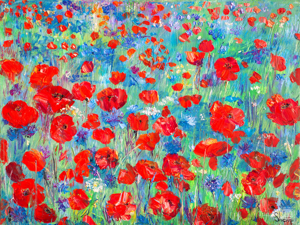 Wild Poppies in the Breeze 