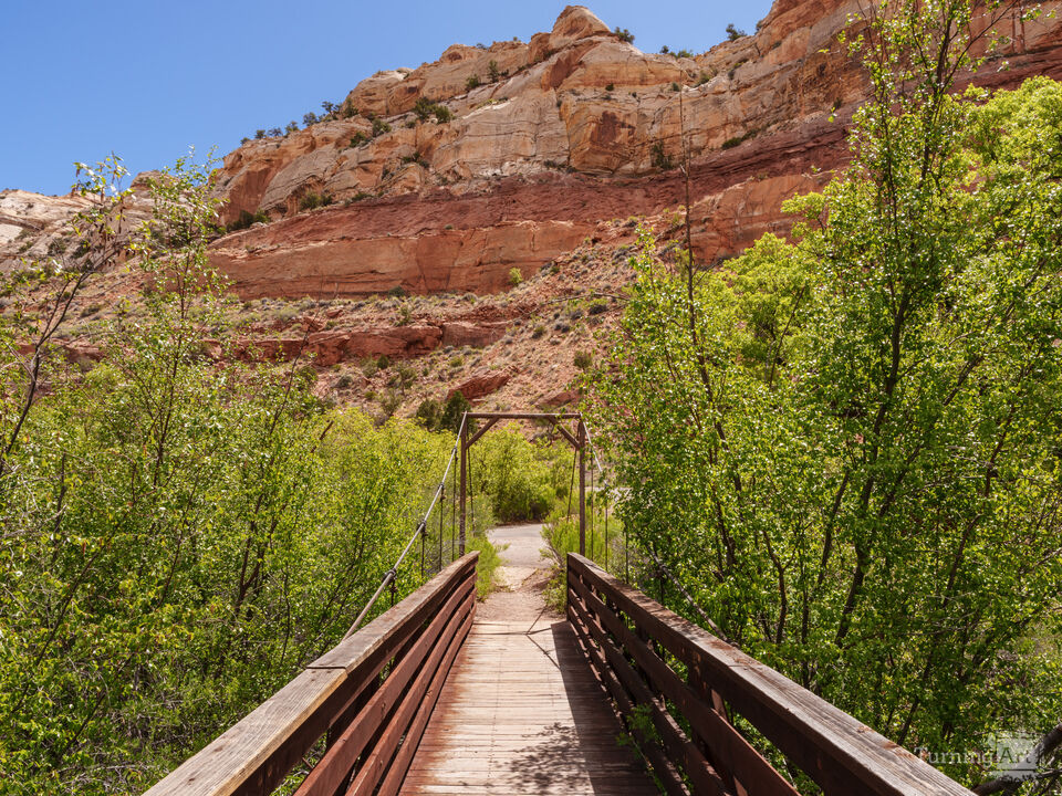 Calf Creek Swinging Bridge View