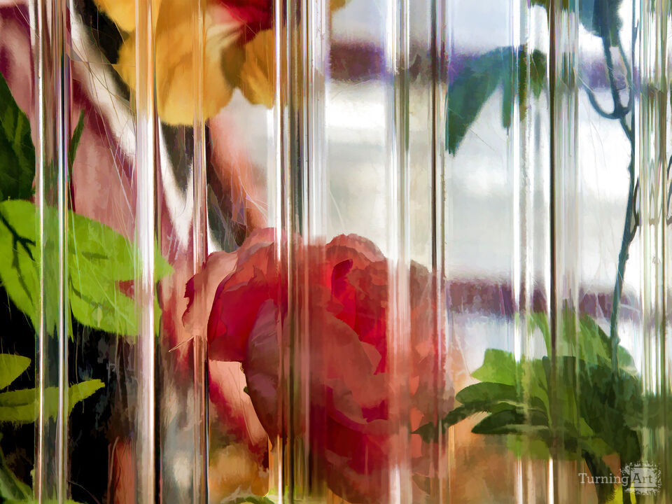 Flowers Seen Through Plastic Sheet 2