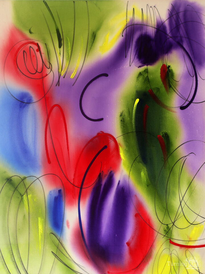 COLORFUL RESONANCE II