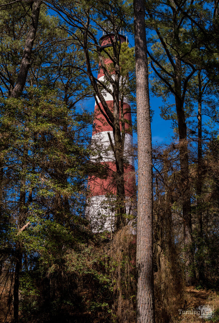 Assatageue Island Lighthouse on the Virginia shore
