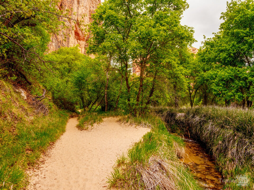 Trails To The Lower Calf Falls