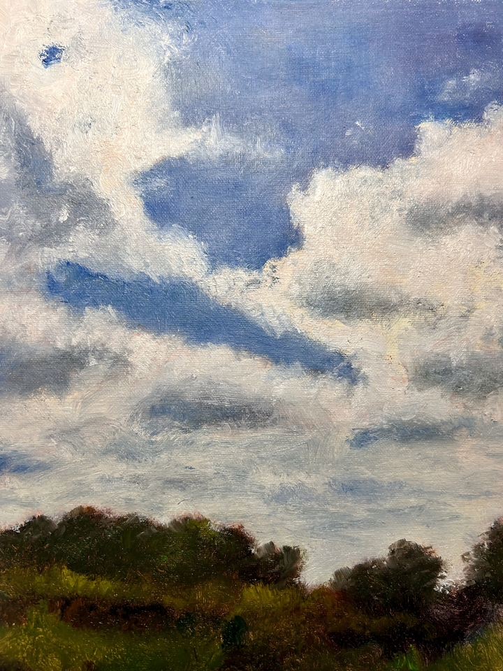 West Branch Woods, Looking South