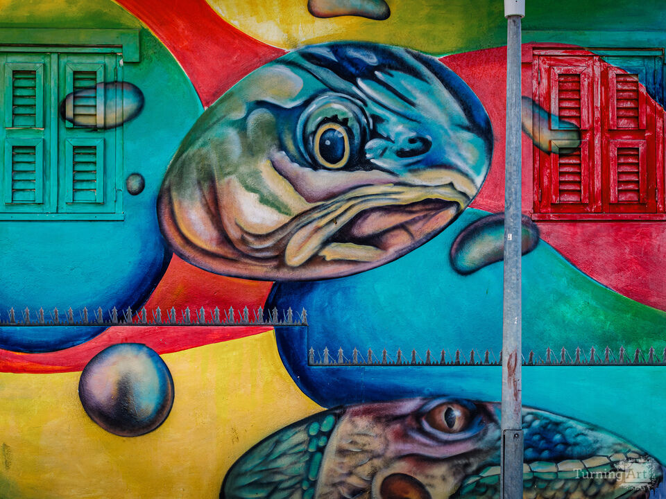 Turtle
