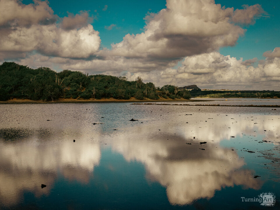 The Salt Pans, No. 1