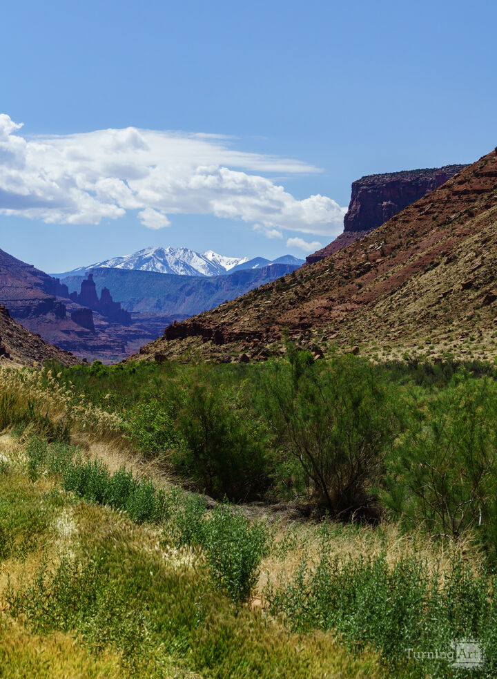 La Sal Mountains Through The Valley