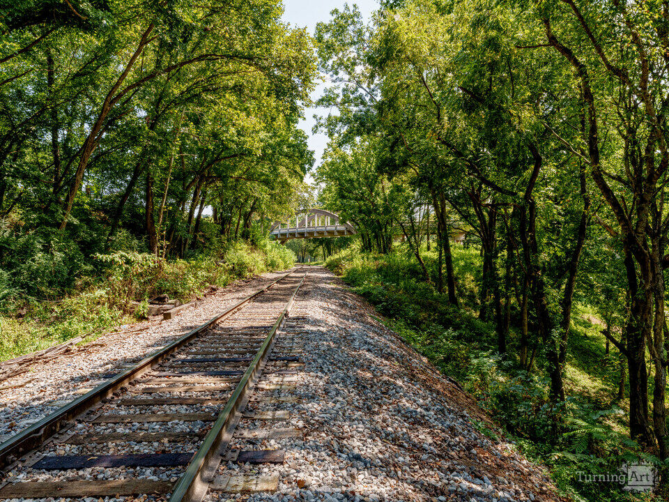 Cotter Railroad Tracks And Bridge