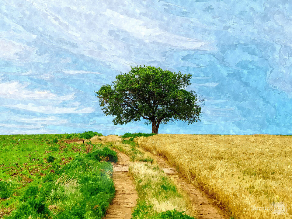 Kansas Farm Single Tree Painterly