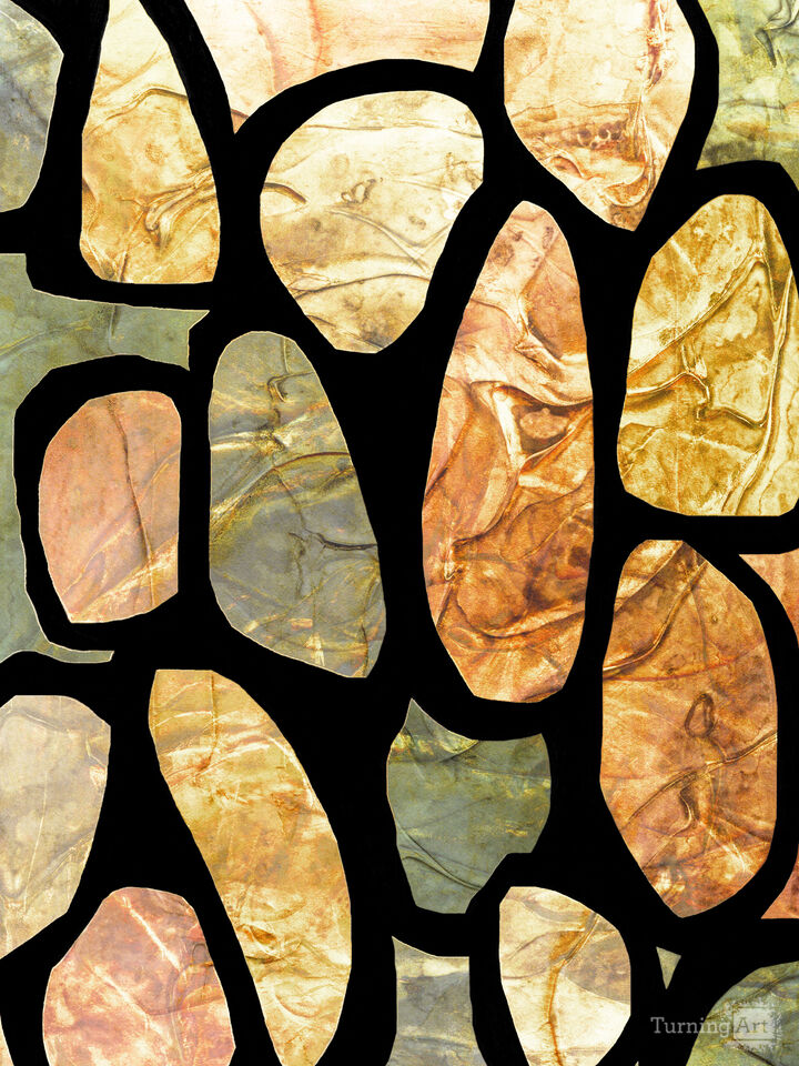 PLANKTON 1 MULTI COLORFUL ORGANIC SHAPES ZEN ABSTRACT