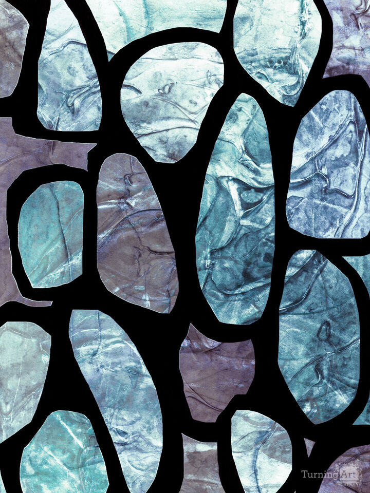 PLANKTON 3 MULTI COLORFUL ORGANIC SHAPES ZEN ABSTRACT