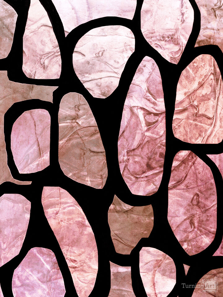 PLANKTON 4 MULTI COLORFUL ORGANIC SHAPES ZEN ABSTRACT