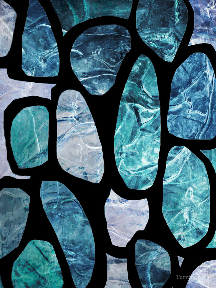 PLANKTON 6 MULTI COLORFUL ORGANIC SHAPES ZEN ABSTRACT