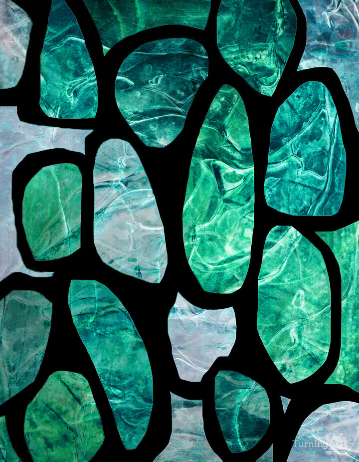 PLANKTON 7 MULTI COLORFUL ORGANIC SHAPES ZEN ABSTRACT