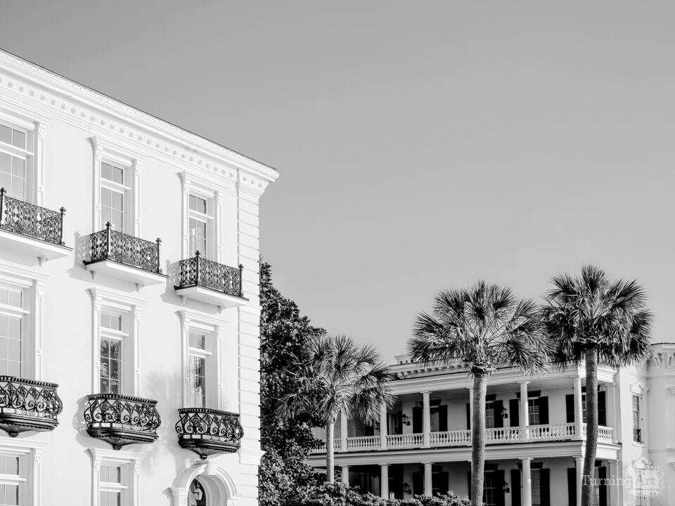 Morning In Charleston (Black and White)
