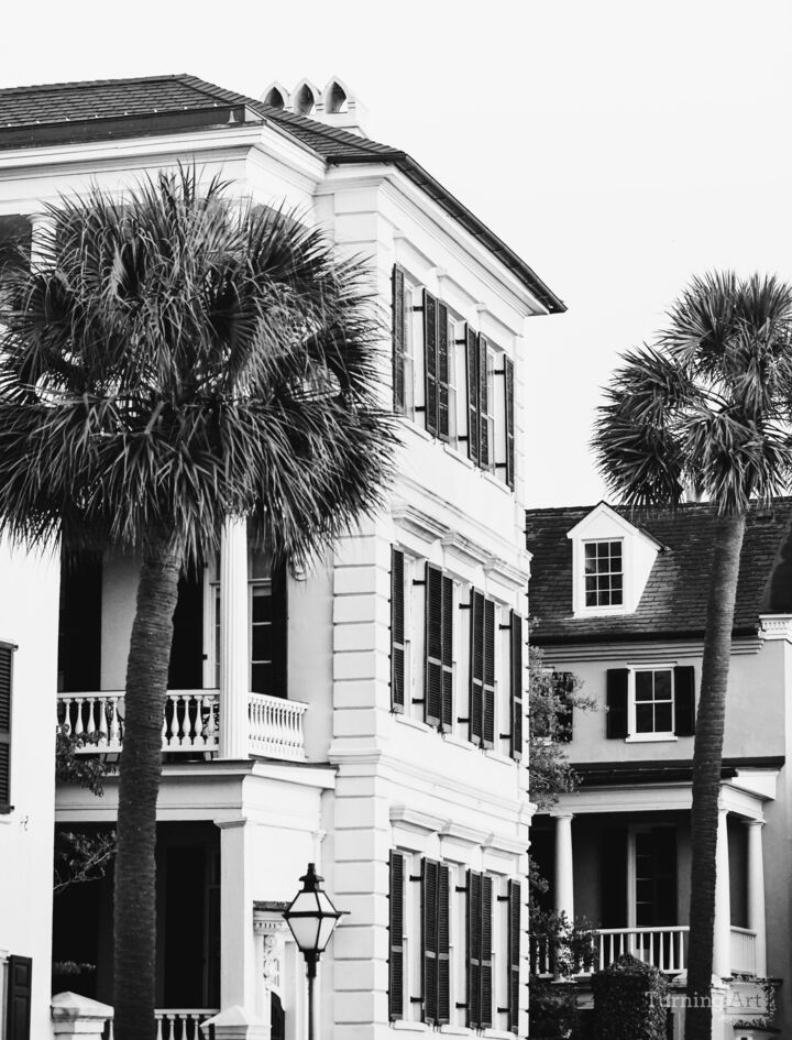 Charleston Palms (Black and White)